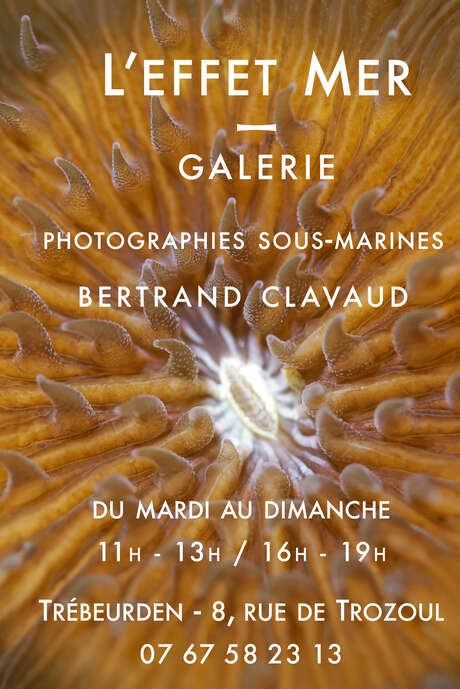 Galerie L'Effet Mer - Photographie