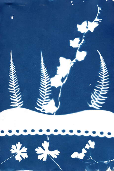 Graines de rivières sauvages - Cyanotypes et poésies - Léguer en fête
