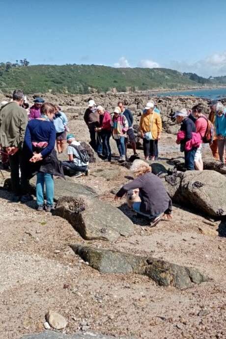 Les roches les plus anciennes de France