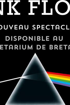 The dark side of the moon - Pink Floyd