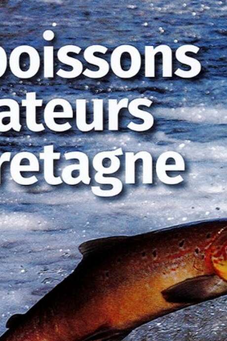 Les poissons migrateurs en Bretagne