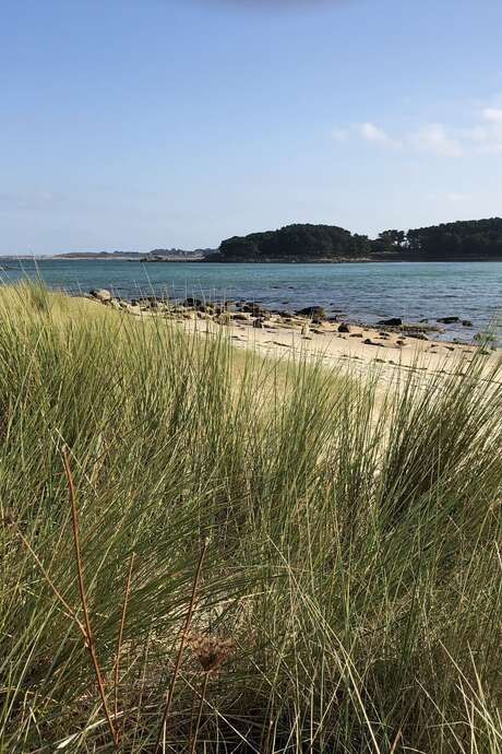 Les îles devant l'Ile Grande en bateau