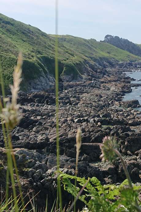 La Nature des falaises - Randonnée