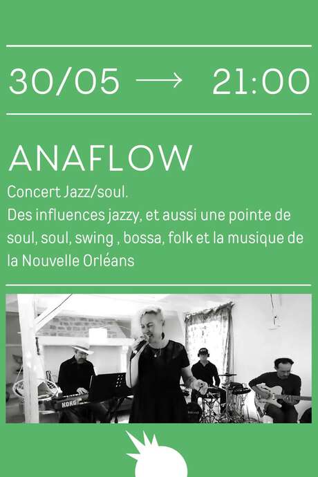 ANAFLOW