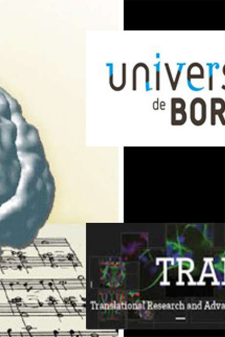 Des images et des sons : Ce que l’imagerie cérébrale montre du cerveau musicien