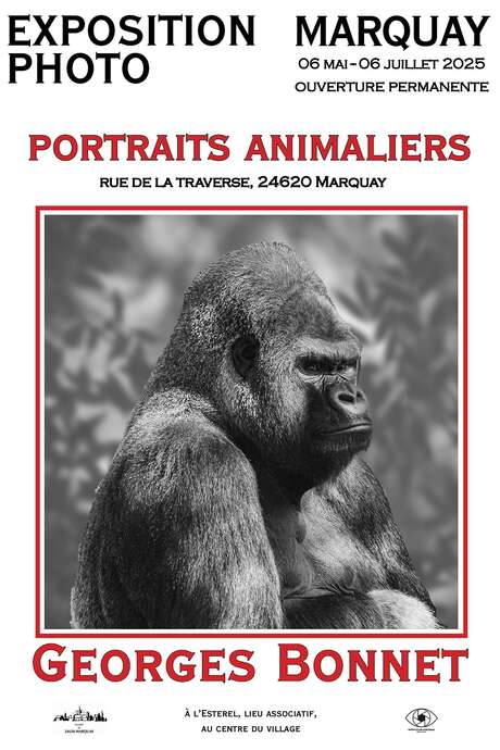 Exposition Georges Bonnet  : Portraits Animaliers