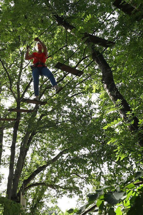 Eté actif 2025 : Grimpe d'arbre