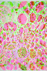 ACHAO exhibition - l'App'Art Gallery