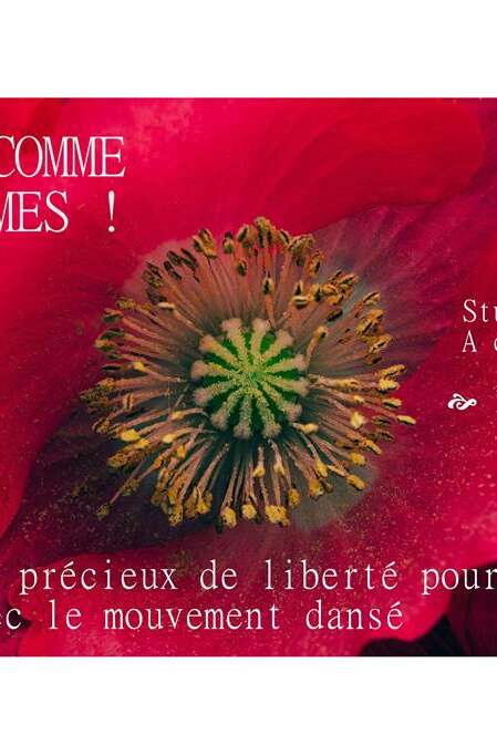 Dansons comme nous sommes