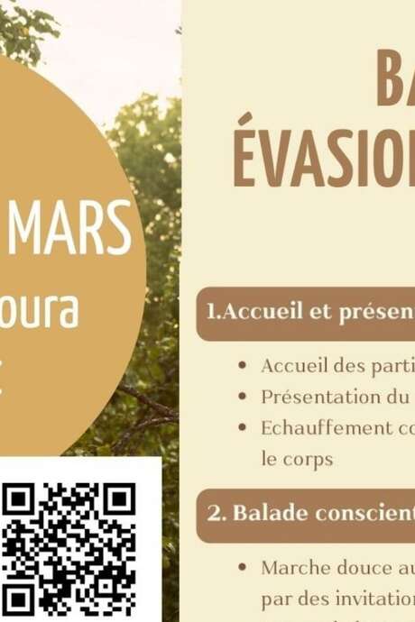 Wellness Escape Walk