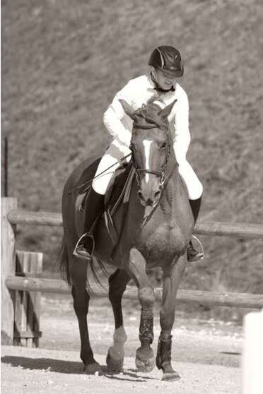 Eté Actif : Equitation
