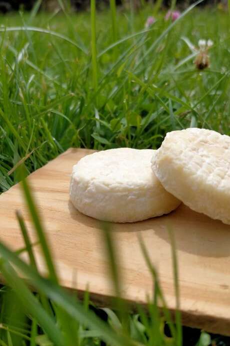 La Ferme à roulettes | Atelier Petit Fromager