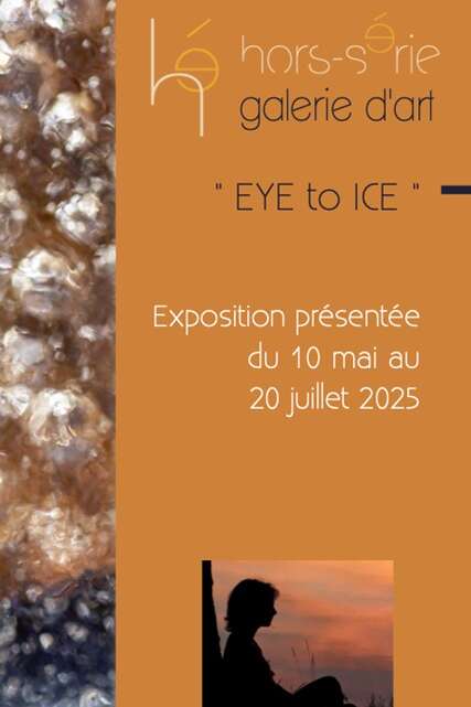 HORS SERIE - Exposition - vente "EYE TO ICE" par Nathalie Houdin