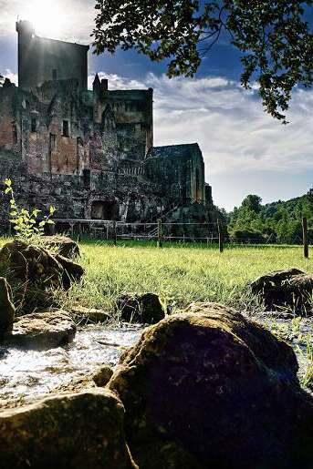Venez célébrer la Fête de la Nature au Château de Commarque !
