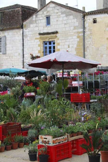 Foire aux fleurs