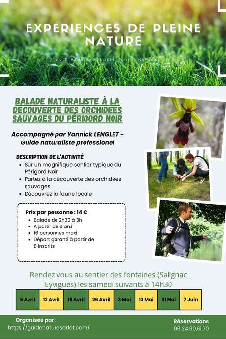 Balade naturaliste à la découverte des orchidées sauvages du périgord noir