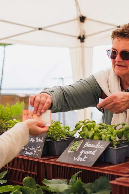 Grandes ventes de plants et de graines