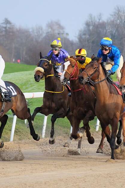 Courses de chevaux à l'hippodrome