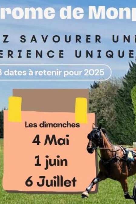 Courses de chevaux