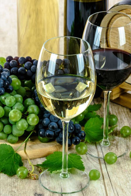 Une journée au vignoble | Domaine de Sauban
