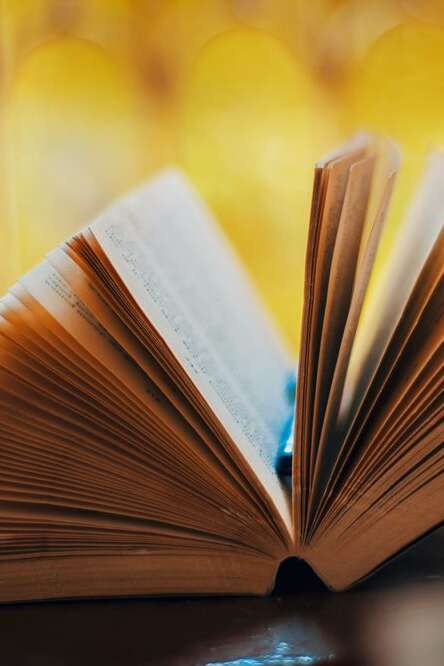 Salon du livre