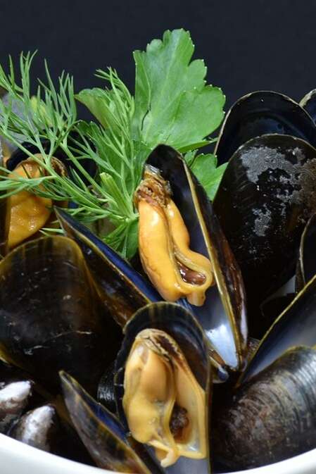Repas moules-frites