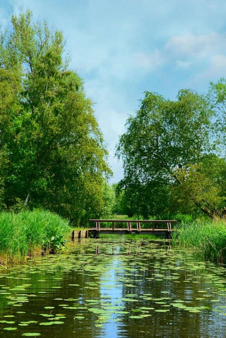 Sortie Nature | Le sentier du Faurissou