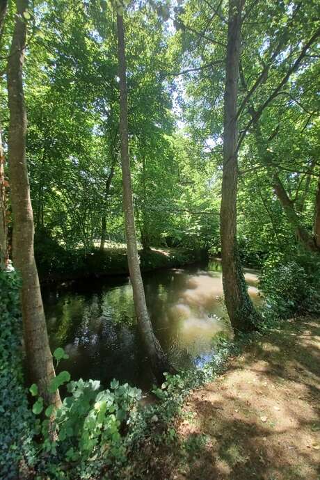 Sophro-balade au parc environnemental Frédéric Passy
