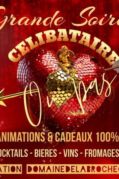 Grande soirée célibataire