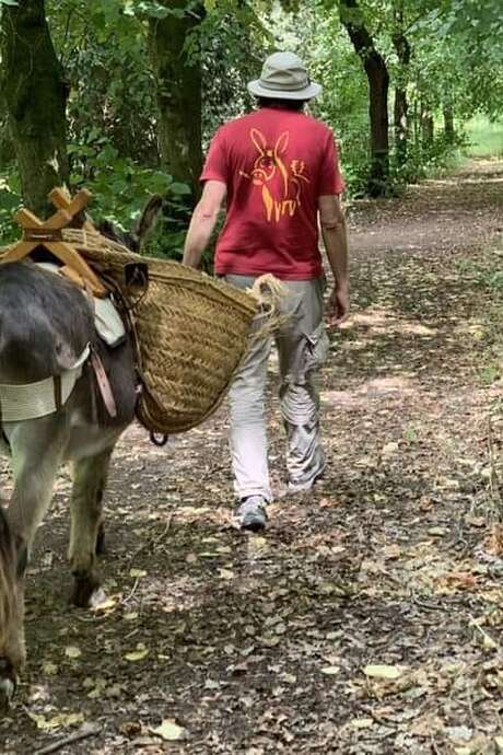 Balade découverte de l'âne