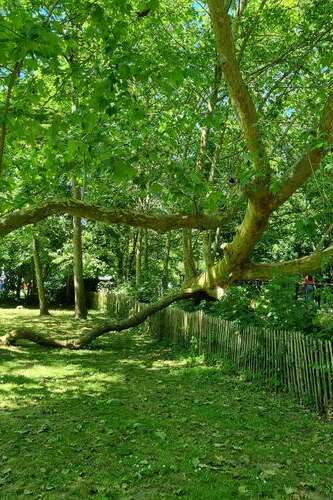 Rendez-vous aux jardins - Parc environnemental Frédéric Passy