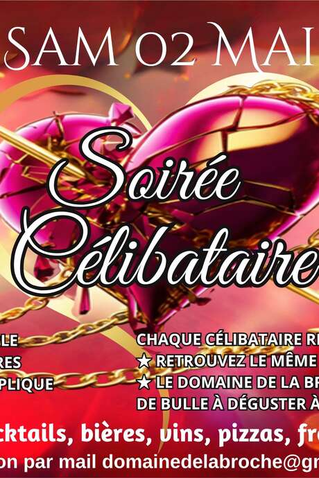 Soirée célibataire