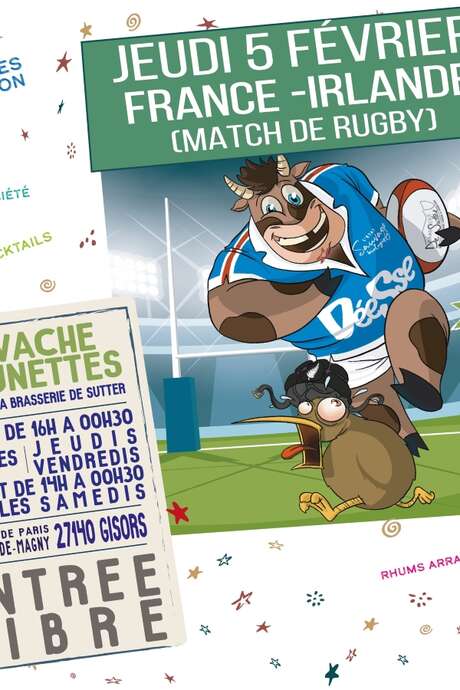 Projection du match de rugby France-Irlande