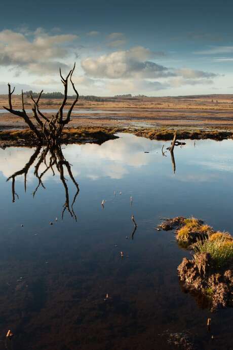 Rando "Aux portes des Ombres" avec ADDES à Brasparts.