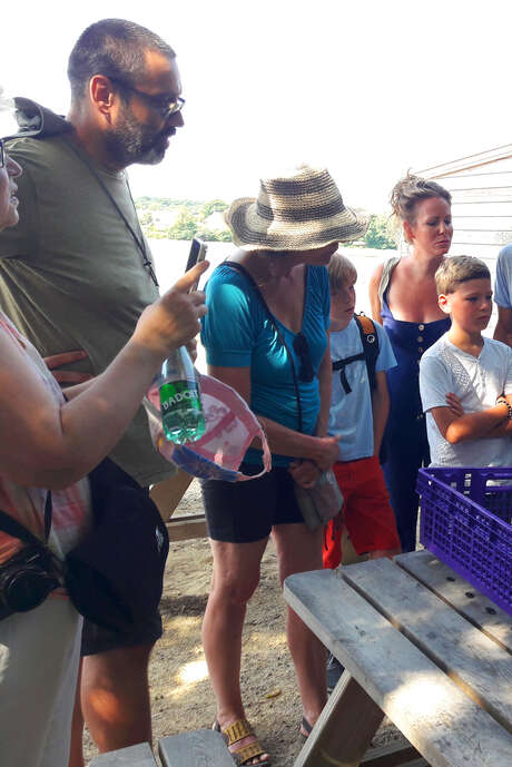 Visite commentée : coquillages et crustacés