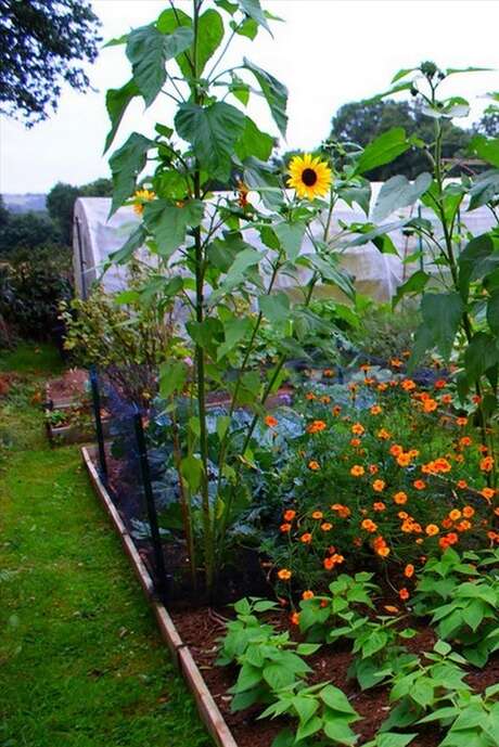 Réunion "Jardiner au naturel"