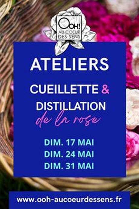 Atelier de cueillette et de distillation au jardin "Ooh, Au coeur des sens "