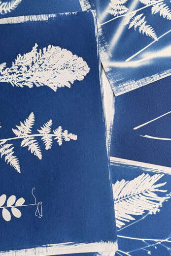 Atelier cyanotype avec Philippe Bréson