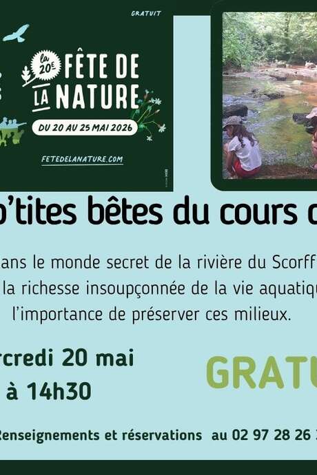 Fête de la nature : animations entre rivière et forêt