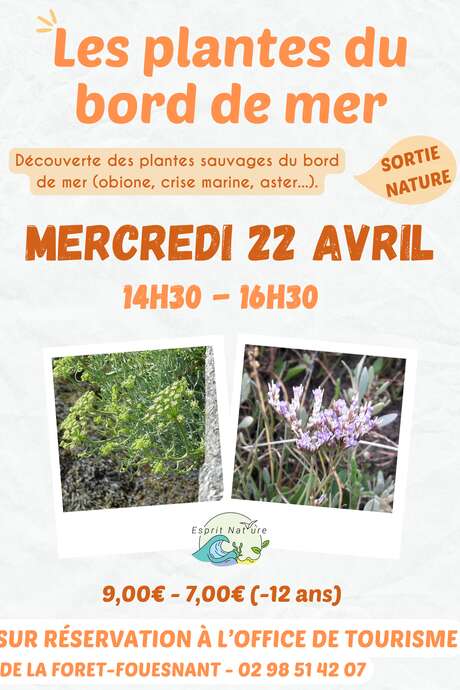 Sortie nature - Découverte des plantes du littoral