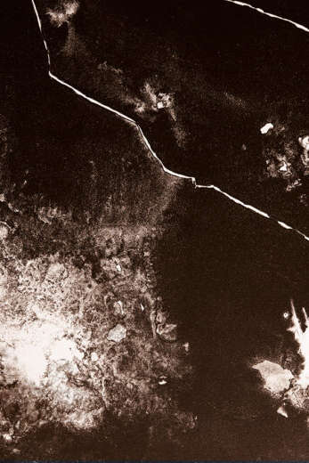 Morsure #5 | Exposition d'estampes