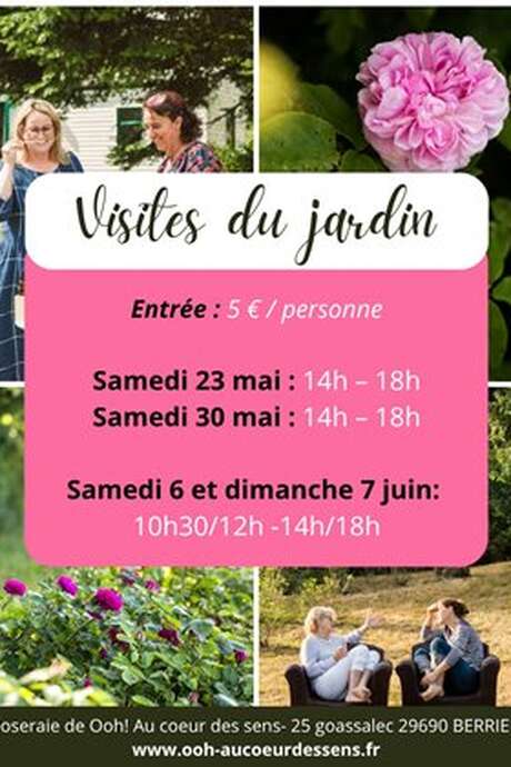 Visite du jardin Ooh, Au coeur des sens pour la floraison des roses de Damas