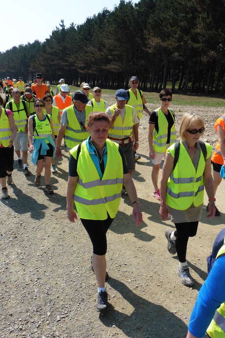 Rando pédestres tous les jeudis en soirée