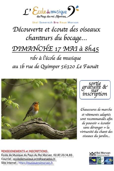 Sortie ornithologique