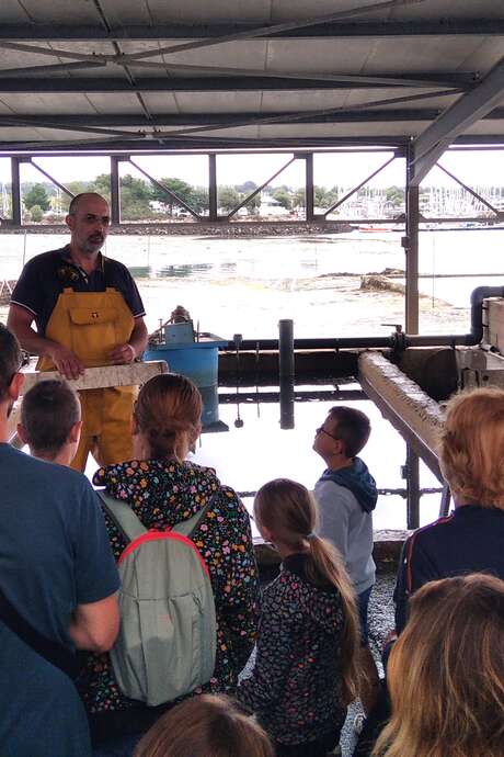 Visite commentée : coquillages et crustacés