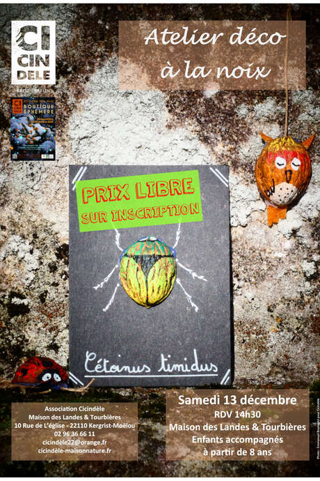 Atelier Déco à la noix