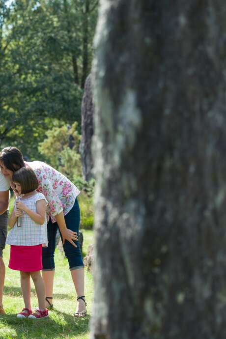 Chasse aux [k]uriosités avec les Archi Kurieux