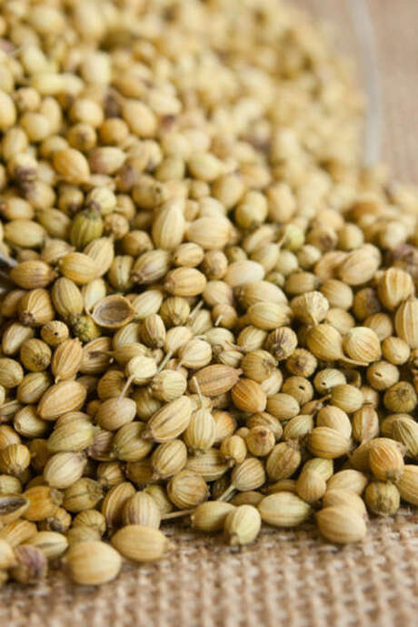 Ensachage de graines | Vie de la grainothèque