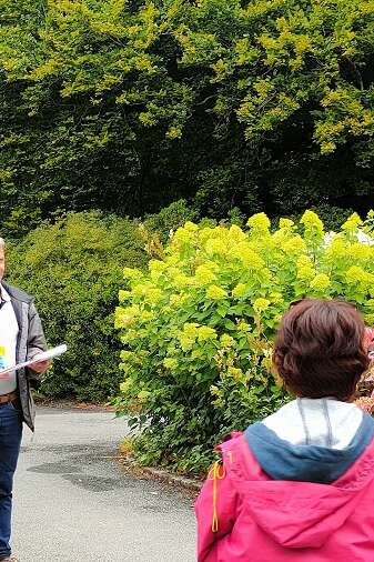 La visite botanique | Les dimanches Hortensias