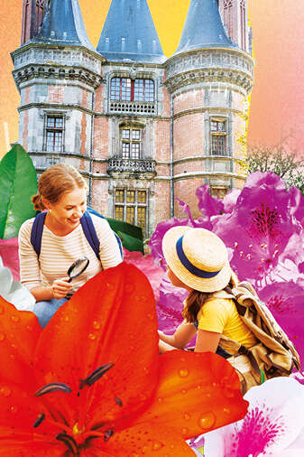 Saison Botanique: Les Rhodos